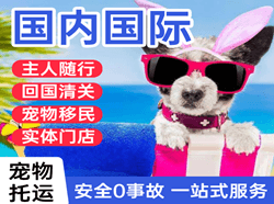 张家界机场快运国际宠物托运 【国